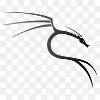 Kali linux回溯渗透测试ubuntu病-空若网 Kali linux回溯渗透测试ubuntu病-空若网