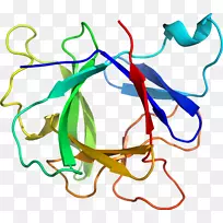 线点生物剪贴画线-空若网 线点生物剪贴画线-空若网