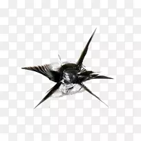 汽车挡风玻璃塞莱纳吉普车挡风玻璃裂缝-空若网 汽车挡风玻璃塞莱纳吉普车挡风玻璃裂缝-空若网