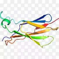 �ߵ������-��-������