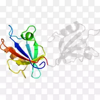 ƽ����Ƽ�����.���-������