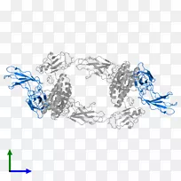 车身珠宝线字体线-空若网 车身珠宝线字体线-空若网