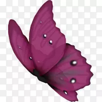 �������������ռ�-WC-������