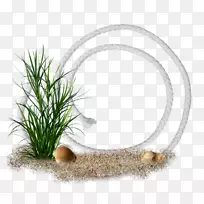 摄影相框电子邮件剪辑艺术-空若网 摄影相框电子邮件剪辑艺术-空若网