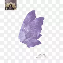 ��Ů�������-������