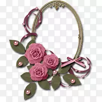 Daum数据-别忘了我-空若网 Daum数据-别忘了我-空若网