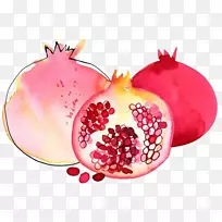 石榴水彩画石榴水彩画-空若网 石榴水彩画石榴水彩画-空若网