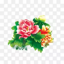牡丹下载剪贴画-牡丹-空若网 牡丹下载剪贴画-牡丹-空若网