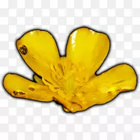 刷新率个人电脑显示器迷你ITX奔腾黄油-空若网 刷新率个人电脑显示器迷你ITX奔腾黄油-空若网