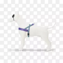 狗繁殖狗带鼻子-太阳顶-空若网 狗繁殖狗带鼻子-太阳顶-空若网