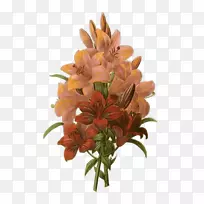 切花花束十字绣-空若网 切花花束十字绣-空若网