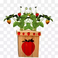 ��ݮ�����ݮ����-������