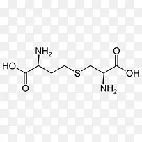 半胱氨酸、蛋白质性氨基酸-空若网 半胱氨酸、蛋白质性氨基酸-空若网