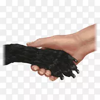 拇指握手-空若网 拇指握手-空若网