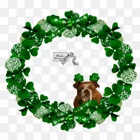 博客木兰花环-空若网 博客木兰花环-空若网