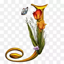 字母表字母-吸毒者-空若网 字母表字母-吸毒者-空若网