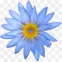 ���ޱ��ǰ����ɻ����ٺϼ�����ˮ�ٺ�-������