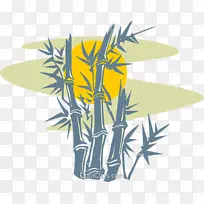 花盆草热带木本竹花-空若网 花盆草热带木本竹花-空若网