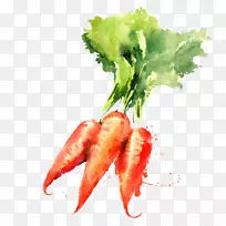 水彩画植物画胡萝卜-空若网 水彩画植物画胡萝卜-空若网