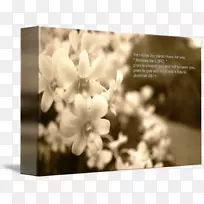 桌面壁纸电脑白色壁纸圣经经文-空若网 桌面壁纸电脑白色壁纸圣经经文-空若网