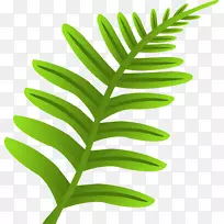 Ҷֲ�ﾥ-�̲�-������