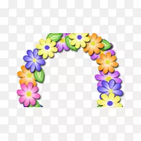 ��ĸ����-��֢-������