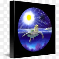 海龟动物画-空若网 海龟动物画-空若网