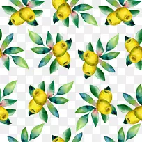橄榄油植物素描插图.涂橄榄油底纹-空若网 橄榄油植物素描插图.涂橄榄油底纹-空若网