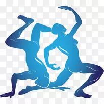 ˫����ռ��ѧ������ʮ����Ф-˫����-������