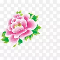 牡丹花设计-牡丹-空若网 牡丹花设计-牡丹-空若网