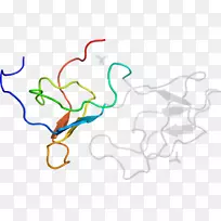 �ߵ������������-������