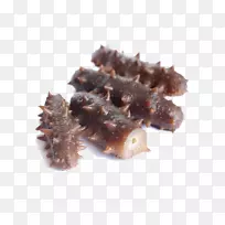 海参海鲜海参-空若网 海参海鲜海参-空若网