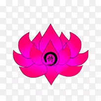 花瓣粉红色m叶开花植物插花艺术-空若网 花瓣粉红色m叶开花植物插花艺术-空若网