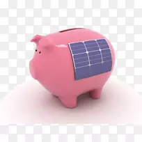 澳大利亚太阳能电池板太阳能猪-空若网 澳大利亚太阳能电池板太阳能猪-空若网