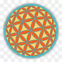 ��������ʥ���α��ո���ֽ�ص�ԲȦ����.��ʥ����ѧ-������