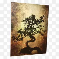 纸画布壁纸.菲亚特-空若网 纸画布壁纸.菲亚特-空若网