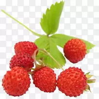 野生草莓阿莫罗多水果-草莓-空若网 野生草莓阿莫罗多水果-草莓-空若网