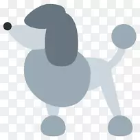 小型贵宾犬-空若网 小型贵宾犬-空若网