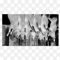 摄影白色风格-空若网 摄影白色风格-空若网