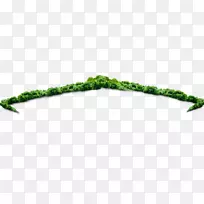 ������ͼ��-������-������