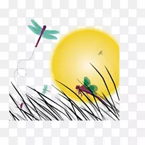 昆虫蜻蜓日落插图-蜻蜓日落场景-空若网 昆虫蜻蜓日落插图-蜻蜓日落场景-空若网