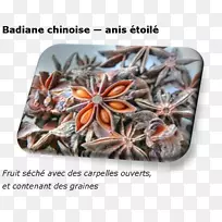 辛辣八角植物紫苏-空若网 辛辣八角植物紫苏-空若网