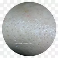 材料-紫苏-空若网 材料-紫苏-空若网