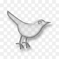 鸟类电脑图标博客-社交媒体黑白-空若网 鸟类电脑图标博客-社交媒体黑白-空若网