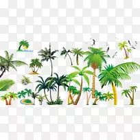 ���ƿ�ֲ��������-Ҭ����-������