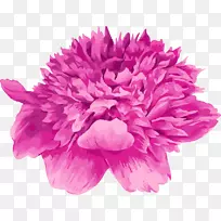 牡丹水彩画-卡通手绘水彩画紫色牡丹花-空若网 牡丹水彩画-卡通手绘水彩画紫色牡丹花-空若网