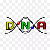 LOGO品牌技术-dna核心-空若网 LOGO品牌技术-dna核心-空若网