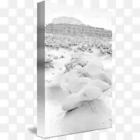 ��Ӱ��ɫ���plc-ɳĮ����-������