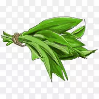 蔬菜韭菜-鳄梨片-空若网 蔬菜韭菜-鳄梨片-空若网