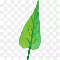 叶植物茎-水彩画叶-空若网 叶植物茎-水彩画叶-空若网